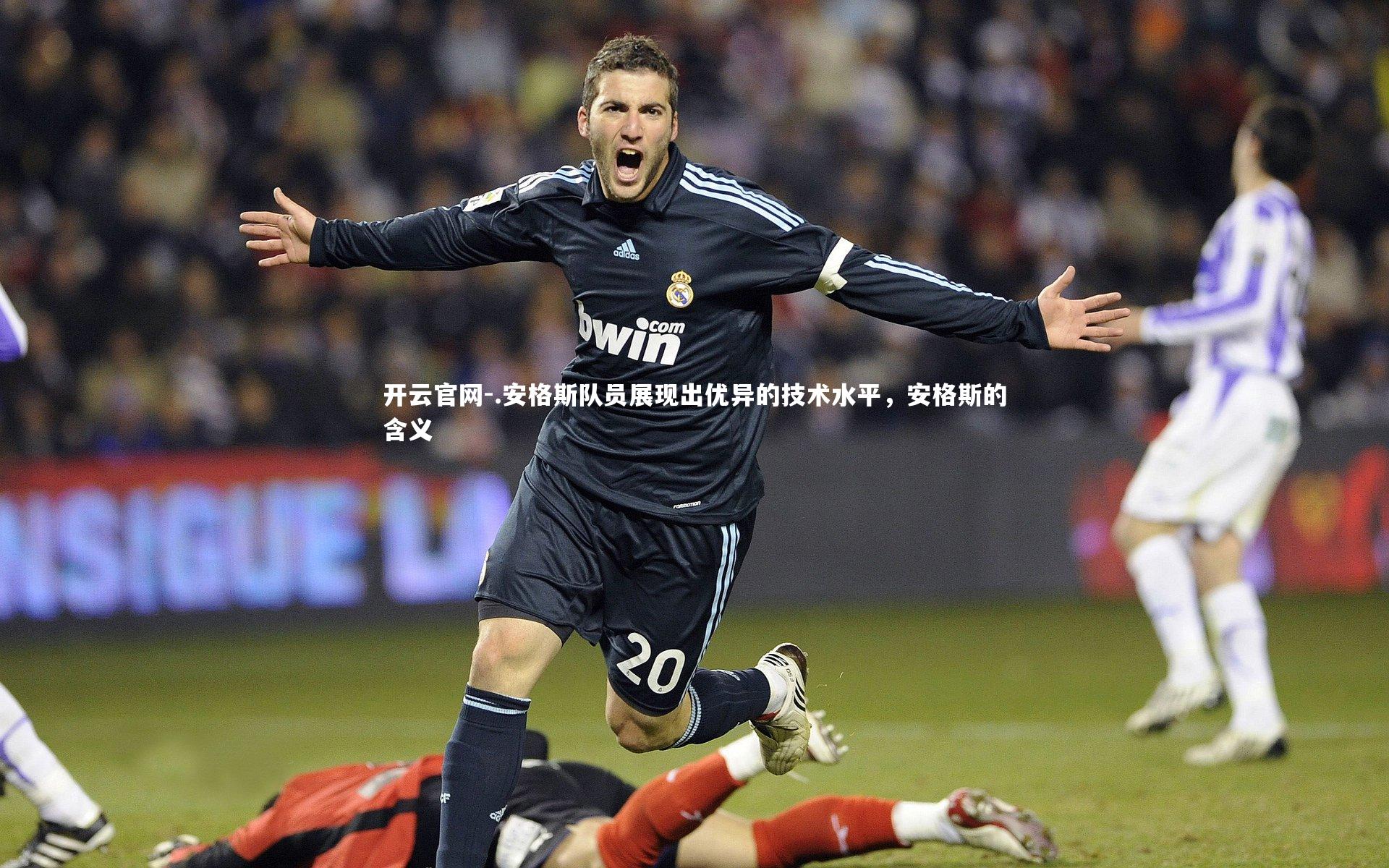 .安格斯队员展现出优异的技术水平，安格斯的含义
